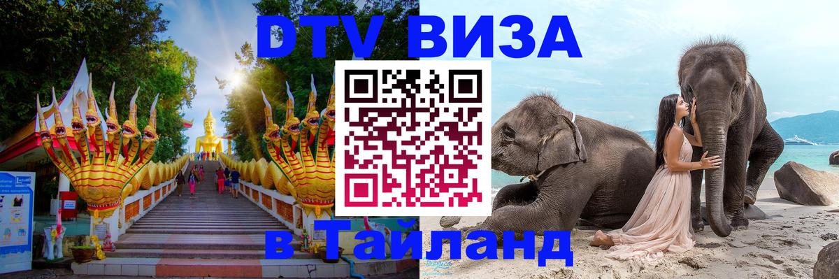 Сколько стоит DTV виза — актуальные цены, оформление даже без документов - Бердск 
