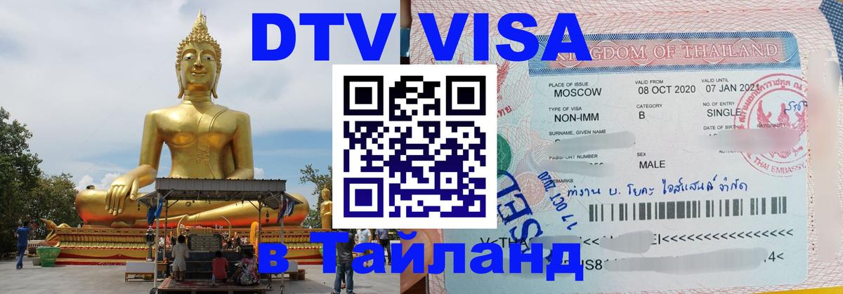 Visa ДТВ Тайланд помощь Бердск 